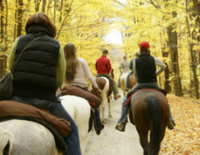 Happy Trails Horseback Ride | Savannah House Wine Country Inn & Cottages | Finger Lakes, NY